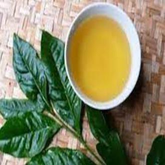 Lá Trà (Lá Chè ) Tươi Dùng Nấu Nước Uống