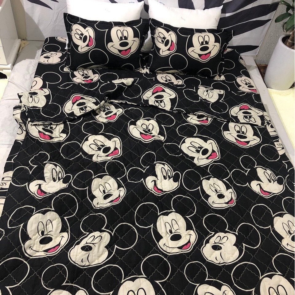 Bộ ga và 2 vỏ gối Cotton Poly Cho Bé Trai