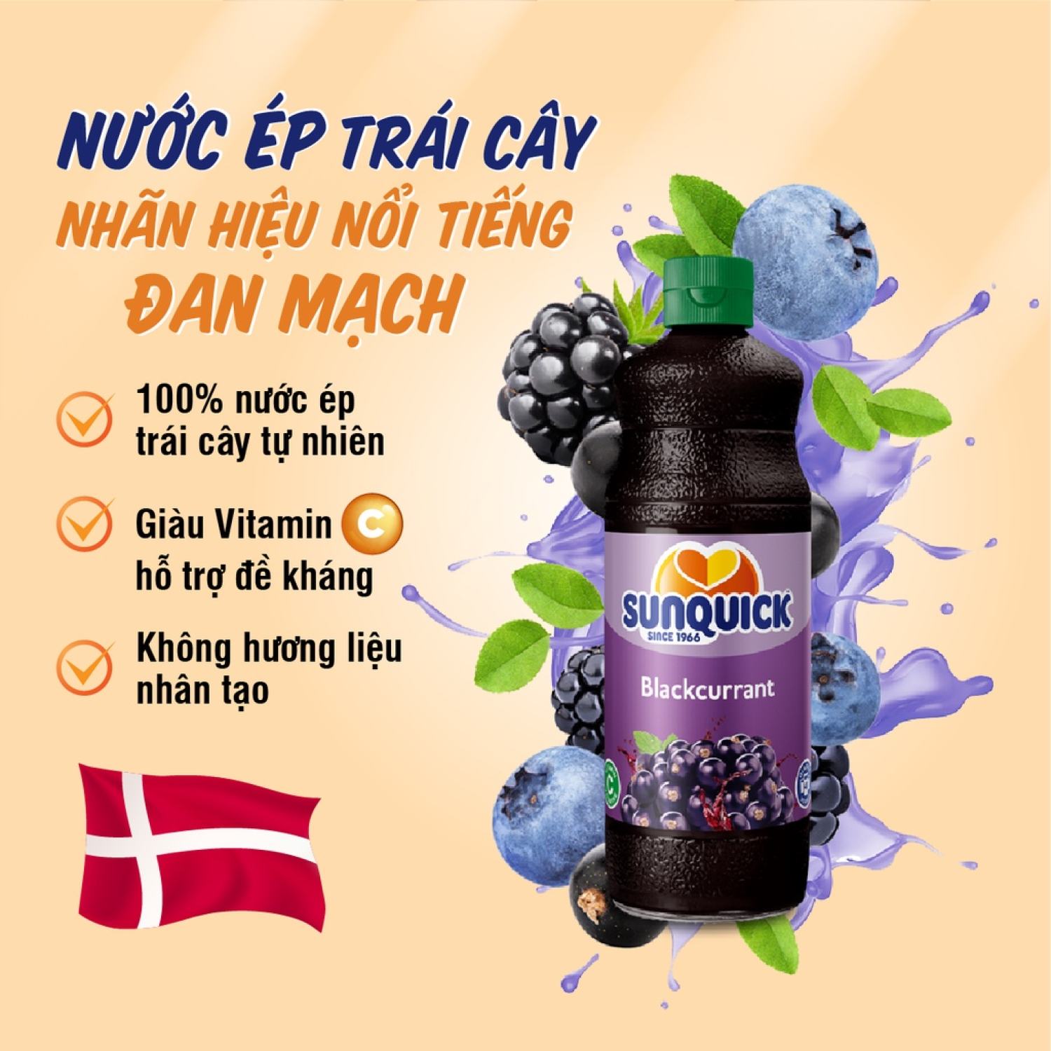 Nước ép trái cây lý chua đen Sunquick BlackCurrant Drink Concentrate 800ml