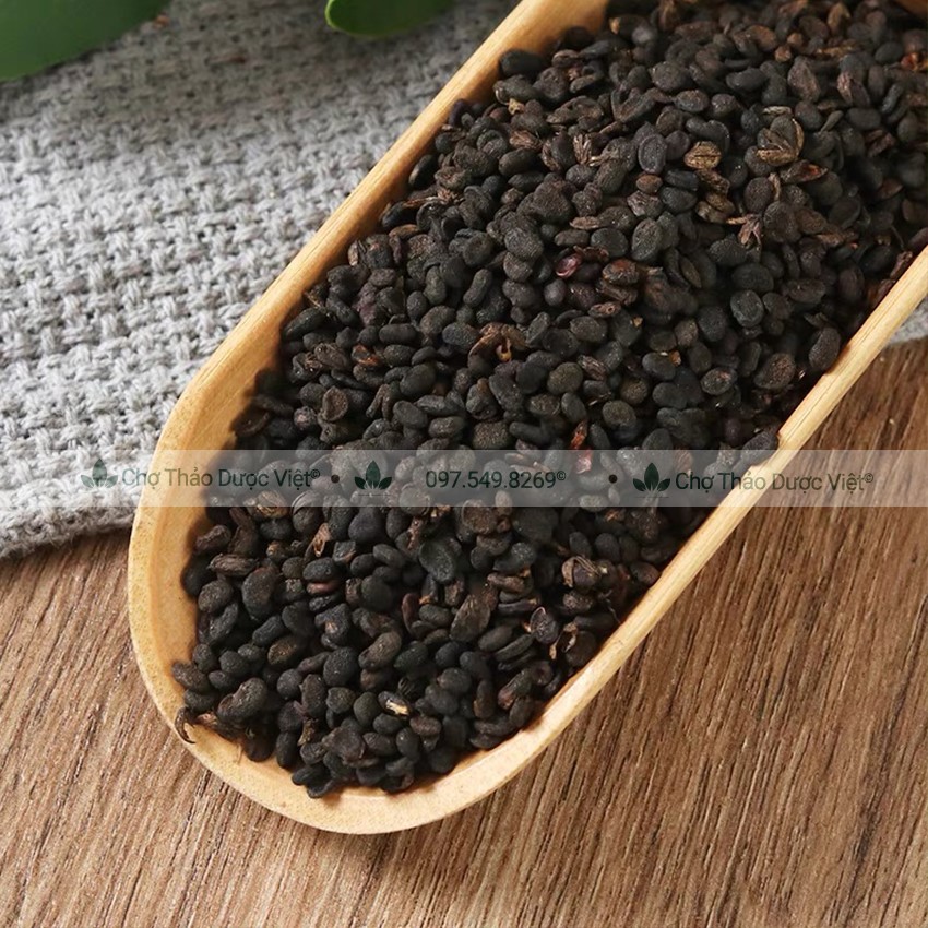 Phá cố chỉ khô 100g, bổ cốt chỉ hỗ trợ bổ thận tráng dương, điều hòa kinh nguyệt, lợi tiểu