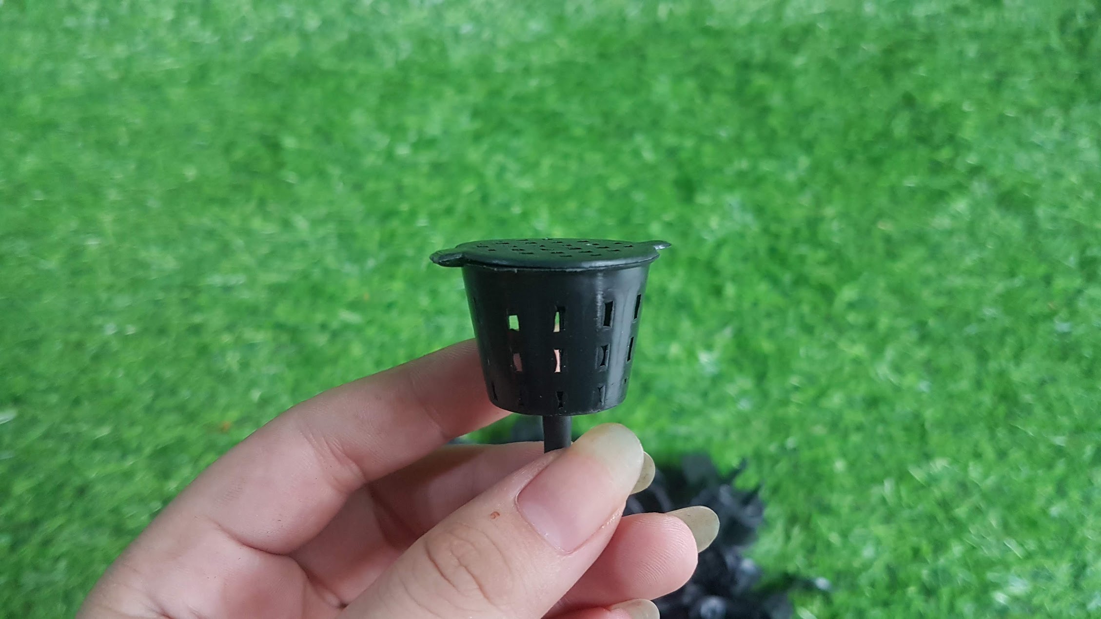 Chậu rổ đựng phân tan chậm 50 cái=20k