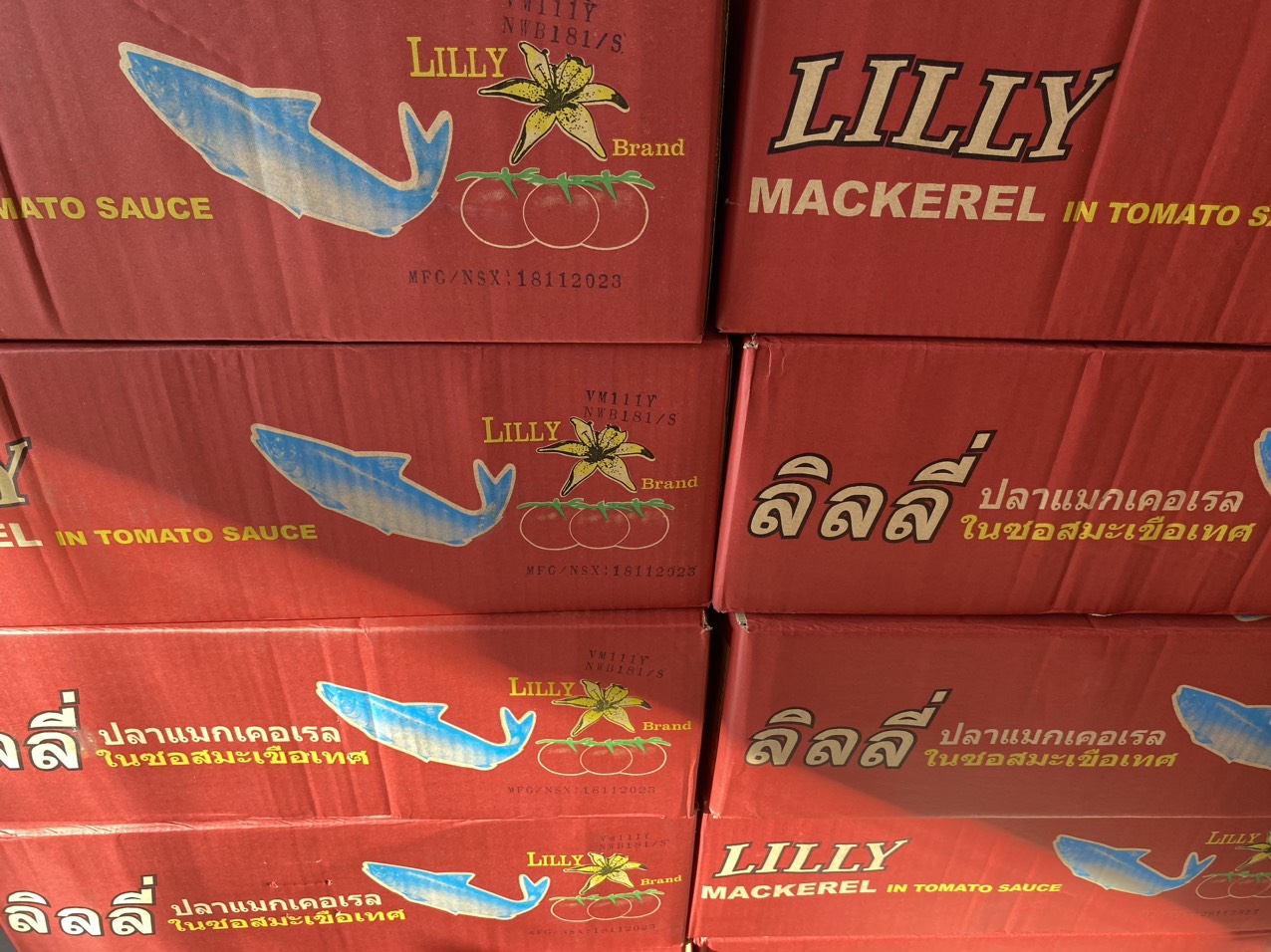 Combo 10 Hộp CÁ NỤC SỐT CÀ LILY 155G