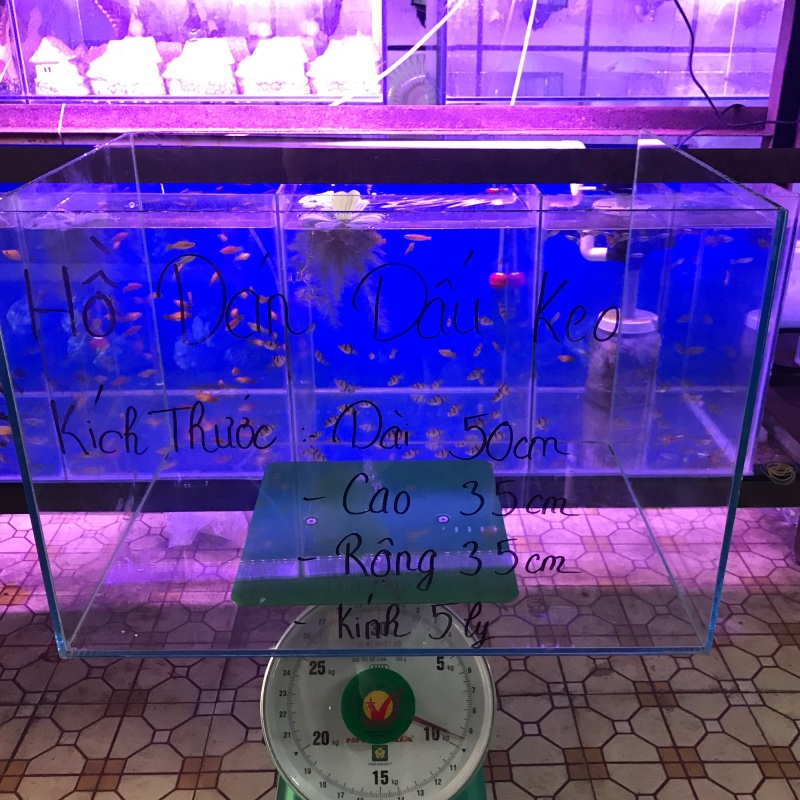{RẺ VÔ ĐỊCH} bể cá. Hồ cá cảnh.dài 50cm . Hồ dán dấu keo an toàn sử dụng