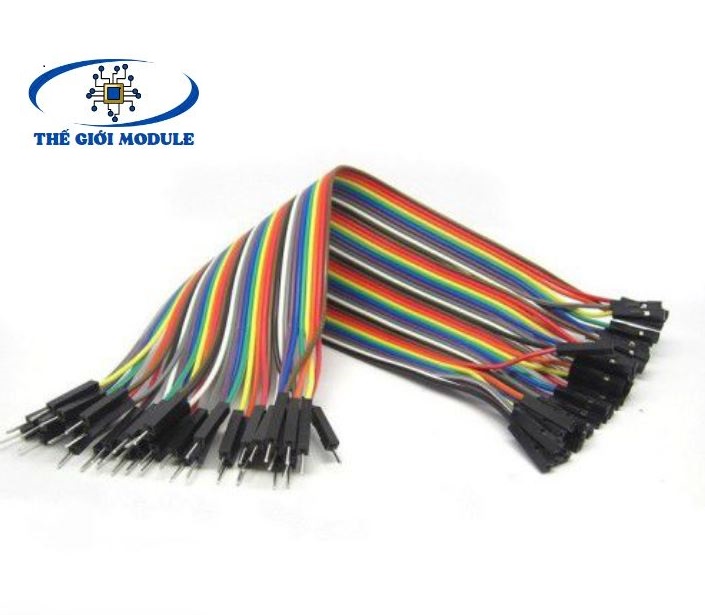 Dây bus, dây bẹ đực cái 30cm
