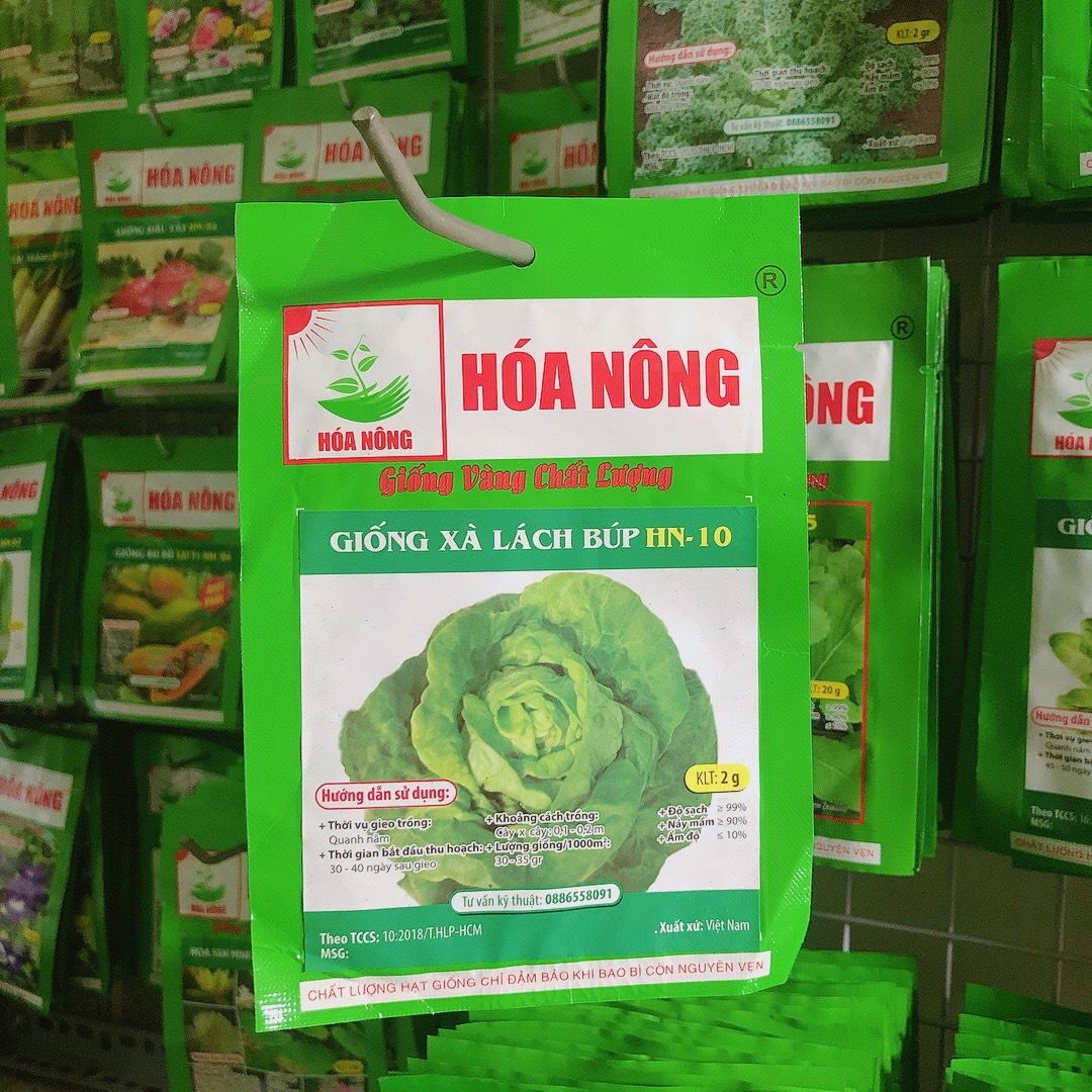 Rau xà lách mỡ hn