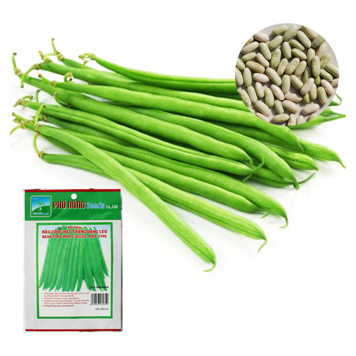 [HCM]Hạt Giống Đậu Cove Cao Sản Phú Nông Giòn Ngọt - Hạt trắng dạng leo (Đậu que) - Gói 10g - Dễ trồng tỉ lệ nảy mầm cao năng suất cao kháng bệnh tốt VTNN Nông Điền Trang