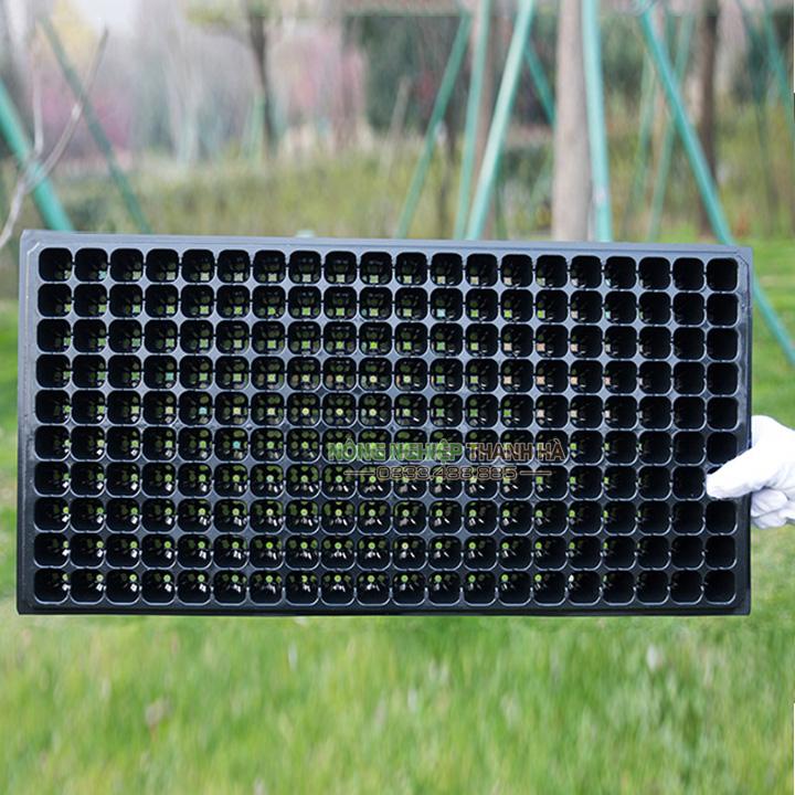 5 Khay ươm hạt giống 200 lỗ