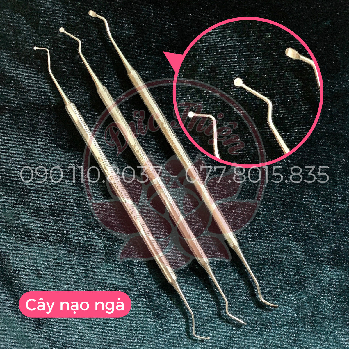 Cây Nạo Ngà -dụng cụ nha khoa