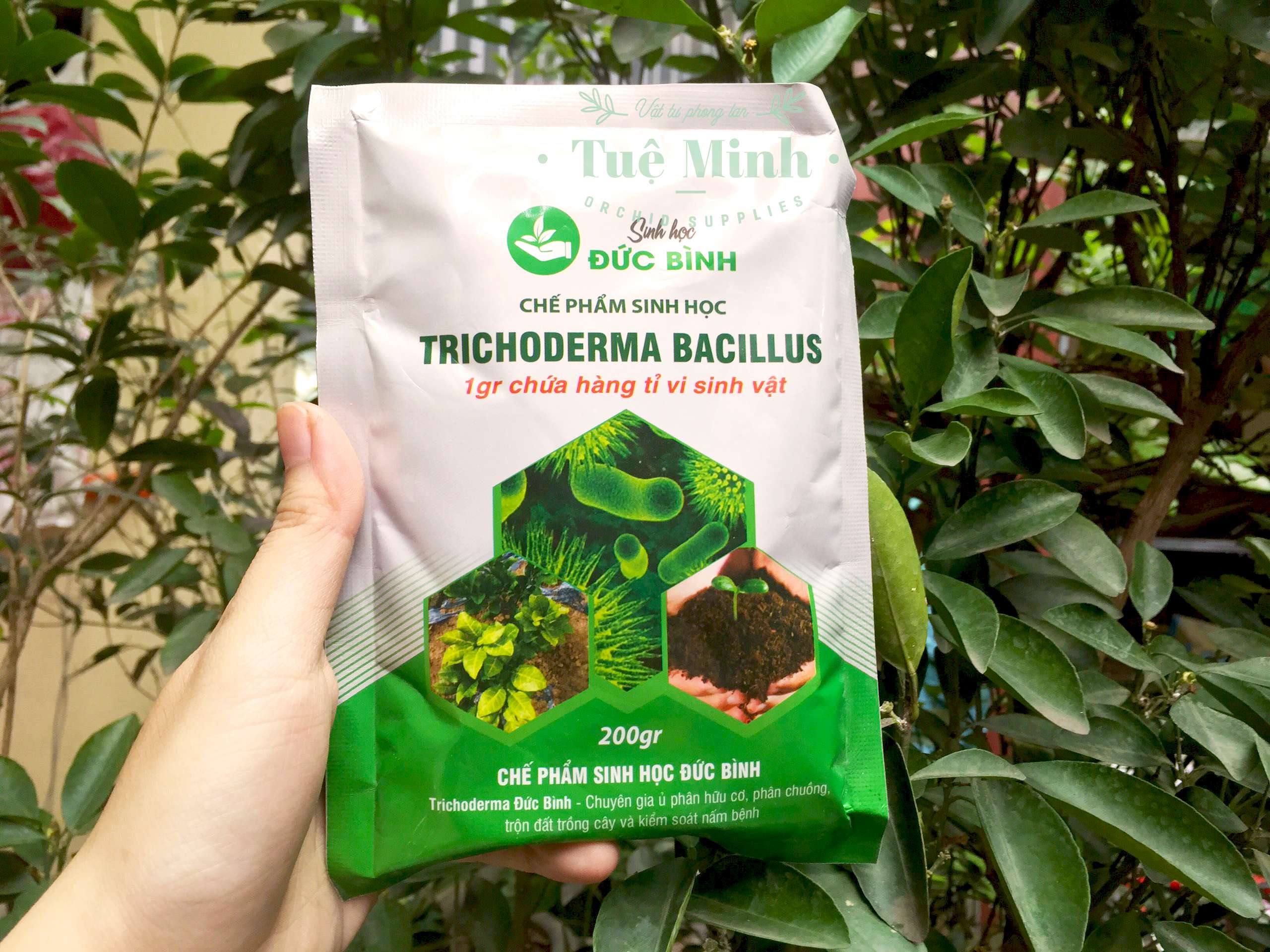 Chế phẩm sinh học TRICHODERMA BACILLUS - Chuyên dùng để ủ phân hữu cơ và kiểm soát nấm bệnh