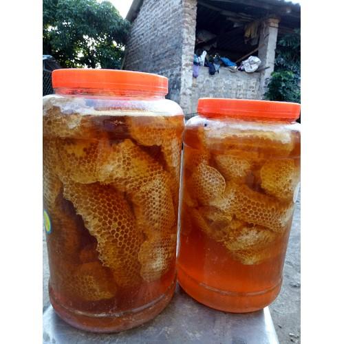 ( Sản Phẩm dùng thử )500g Mật Ong Nguyên Chất Hoa Cà Phê Đak Lăk