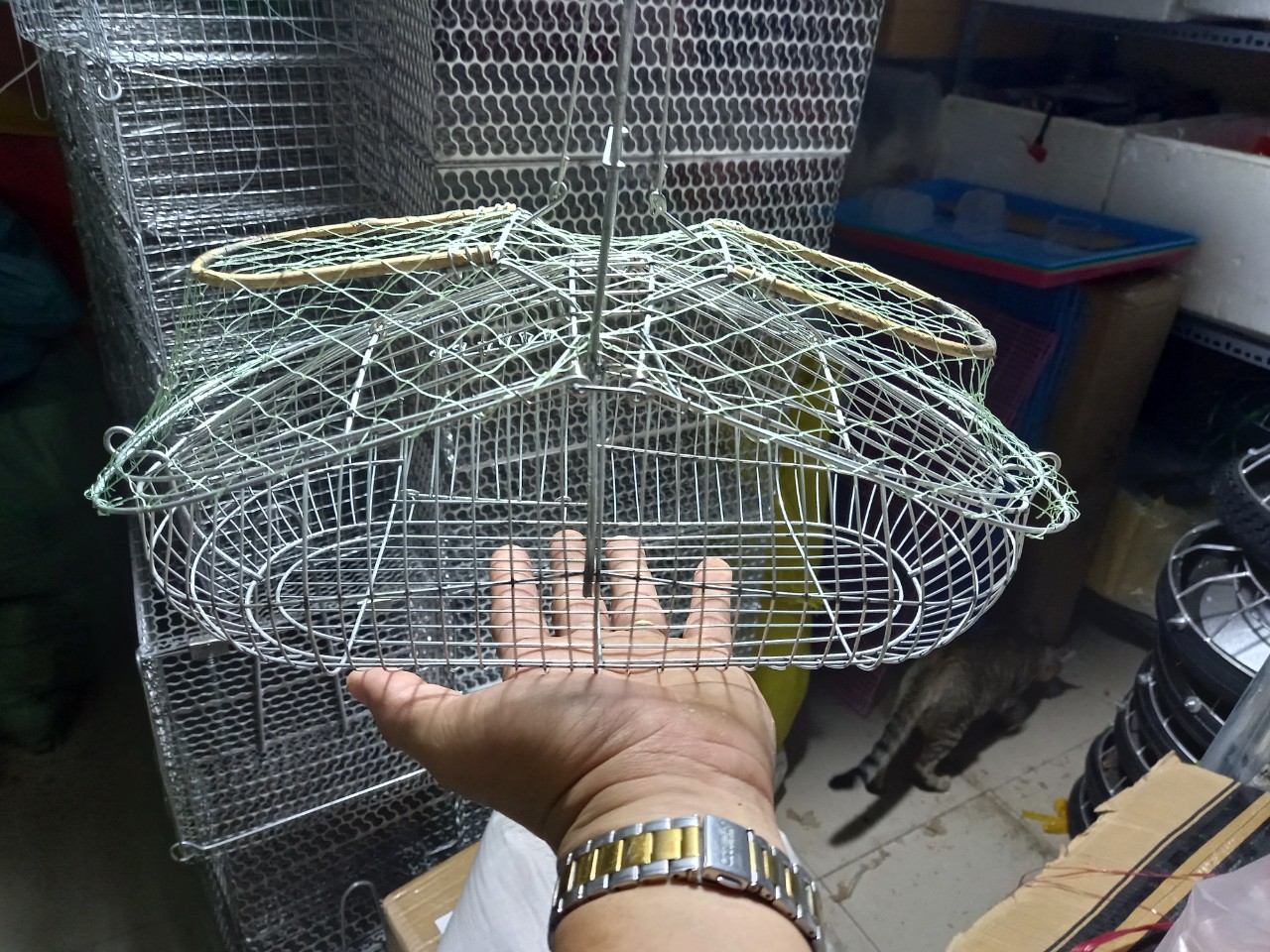 Lụp bẫy chim khuyên, bẫy chim sâu
