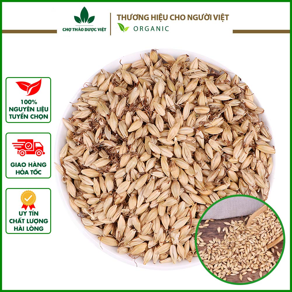 100gr Mạch Nha (Khô, thơm, sạch)