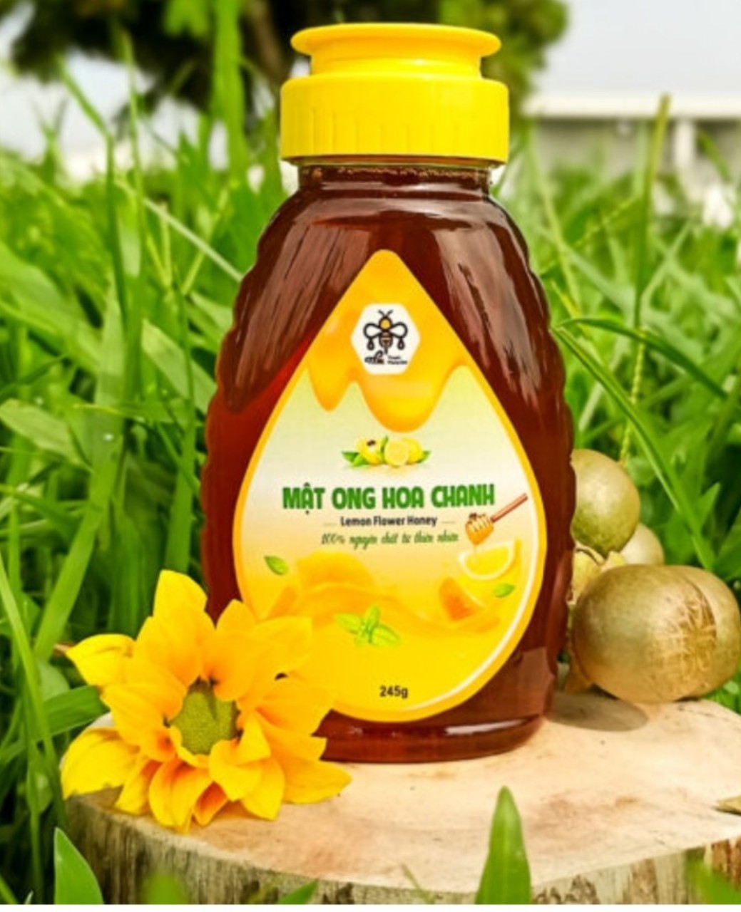 🍯 Mật ong hoa chanh 245g - Thuyên Phong Mật 🐝