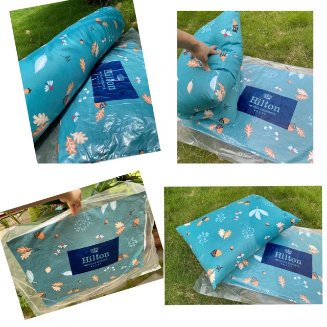 Combo 1 Đôi Ruột Gối Nằm Và 1 Ruột Gối Ôm