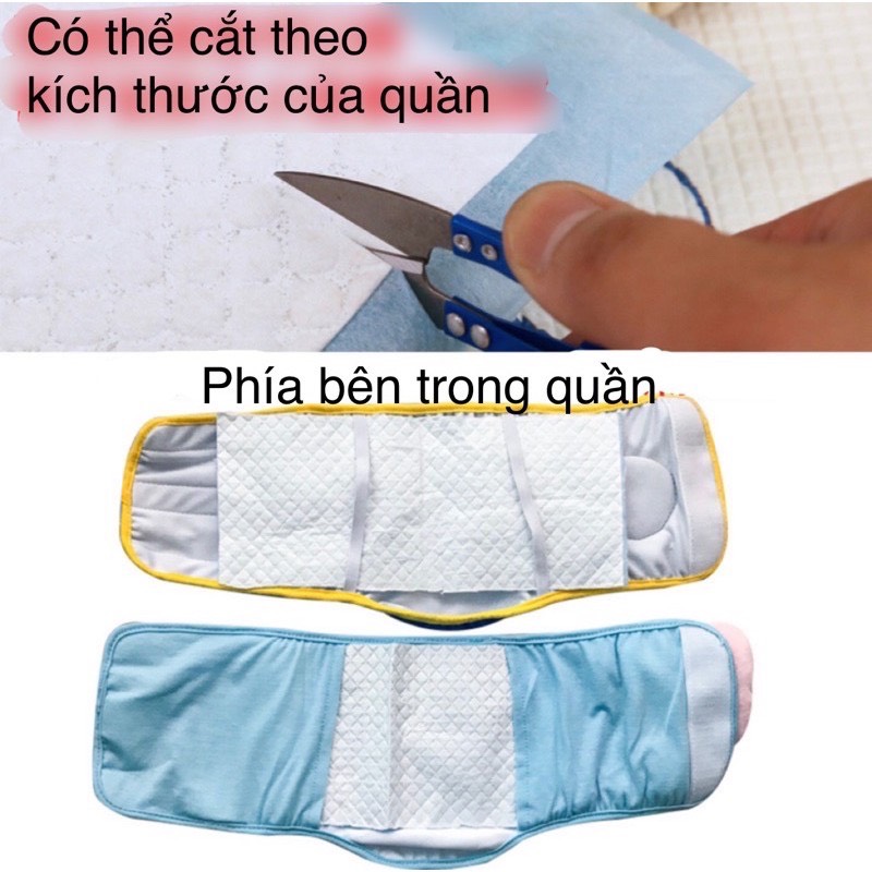Quần sinh lý cho chó đực vải thoáng mát