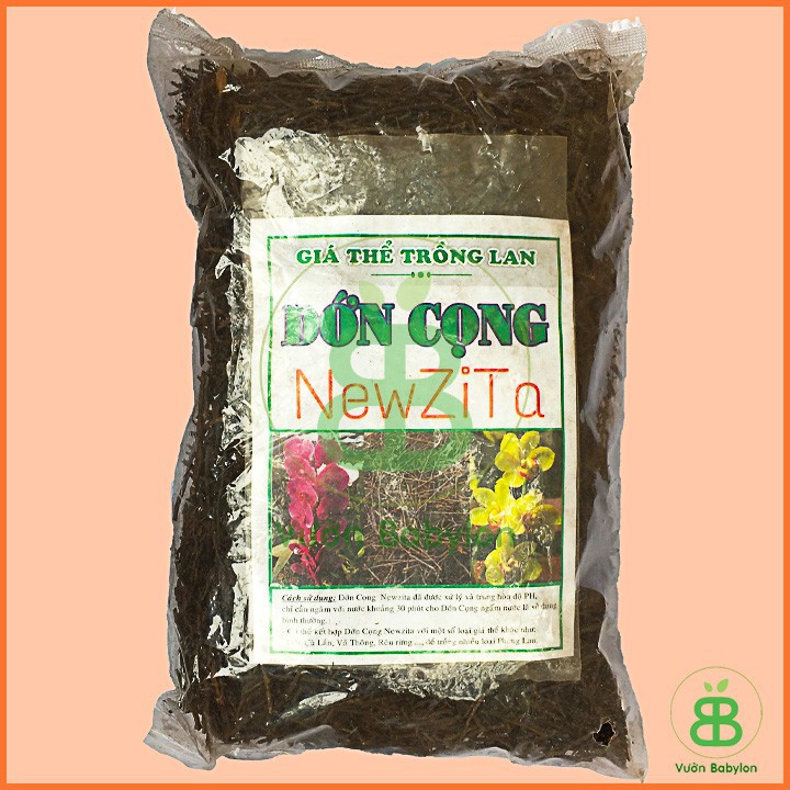 Dớn Cọng Trồng Lan