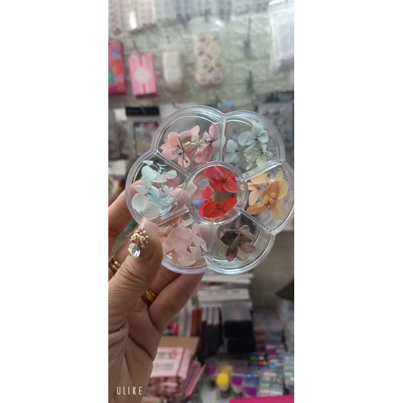 [NNail] hoa lụa khô ẩn gel