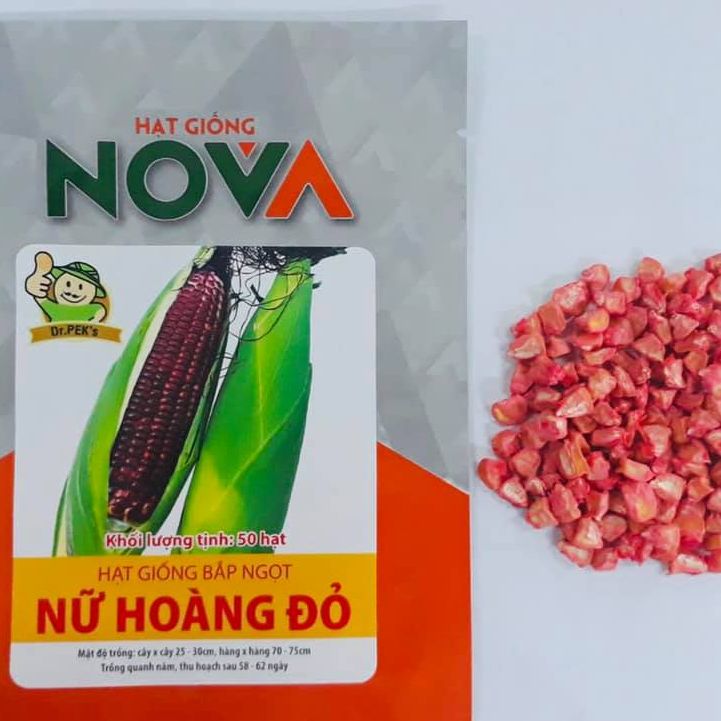 Hạt giống bắp nữ hoàng đỏ NOVA (  gói 50 hạt )