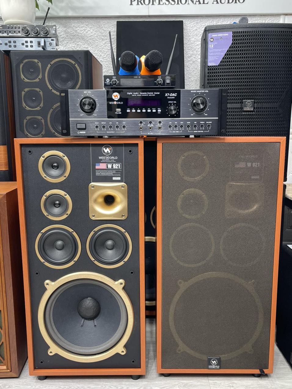 Bộ dàn Karaoke gia đình W921