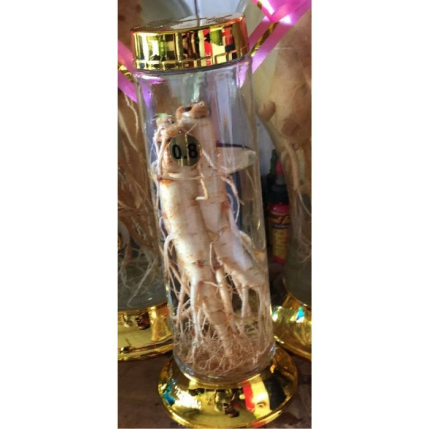 Bình Thủy Tinh PHÚ HÒA 6,8 lít