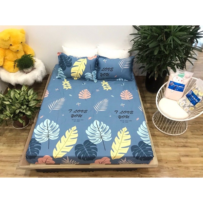 Bộ 1 ga chun và 2 vỏ gối cotton poly()