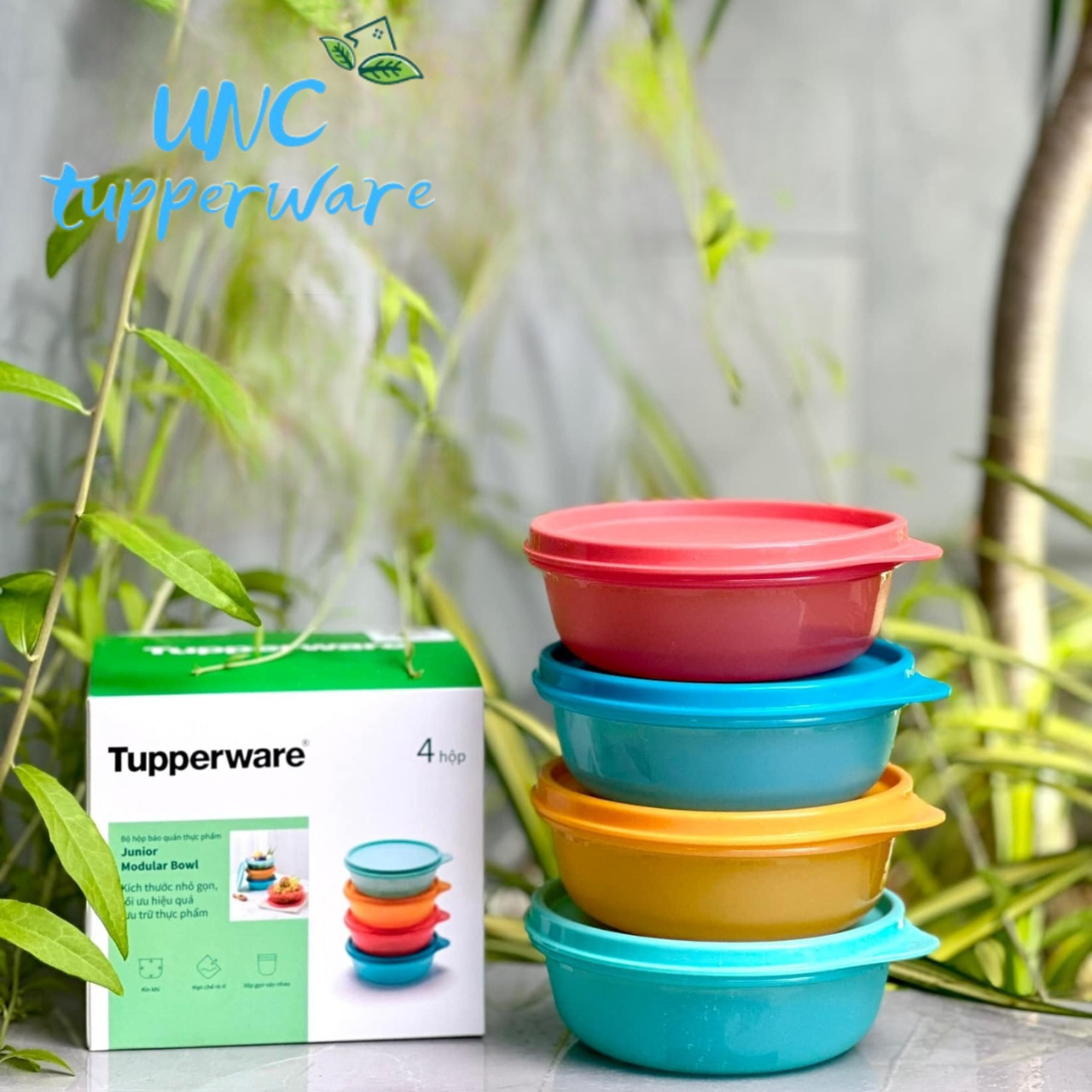 Bộ hộp bảo quản thực phẩm Tupperware Junior Modular Bowl 300ML (4)