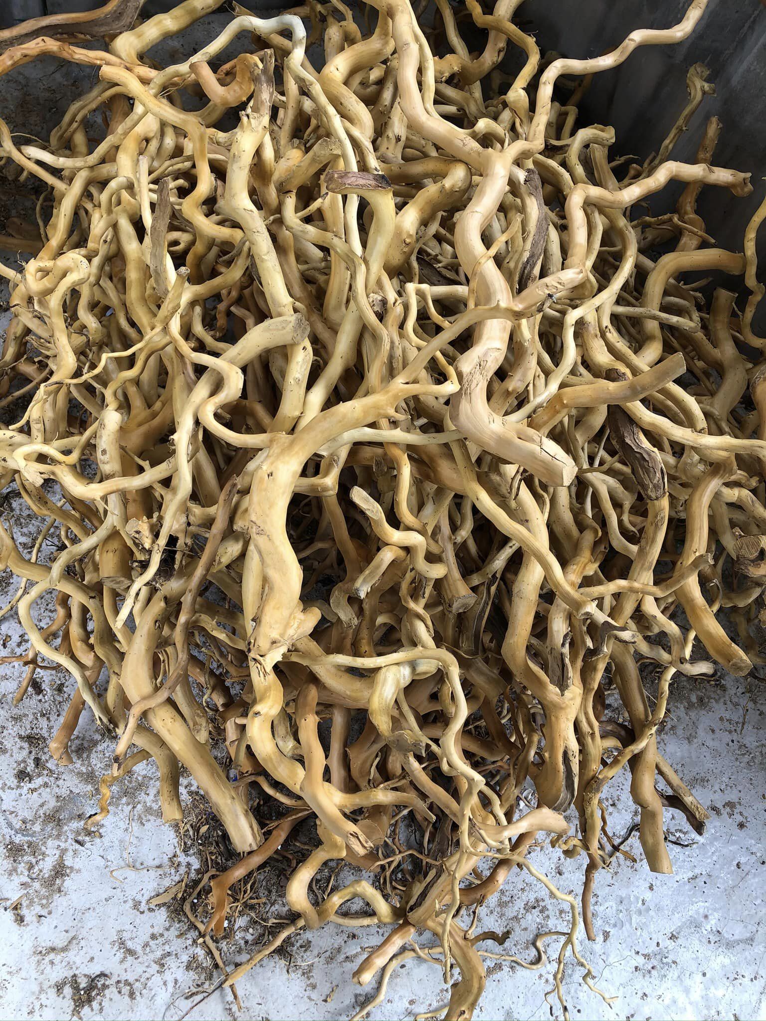 RỄ ĐỖ QUYÊN 100G TRANG TRÍ LAYOUT RỪNG, HỒ CÁ THUỶ SINH