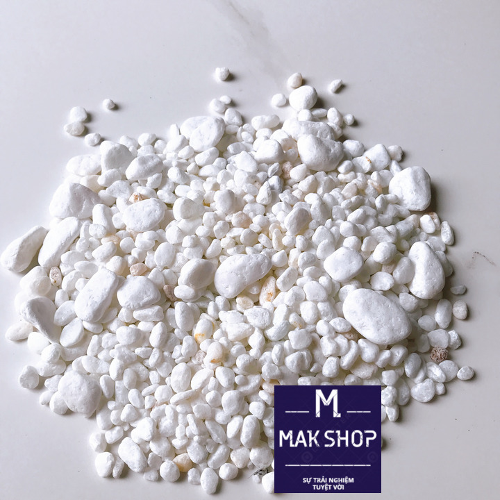 1Kg Đá, Sỏi Trắng Viên Vừa, Trang Trí Hồ Cá Cảnh, Bể Cá Cảnh, Hồ Thủy Sinh
