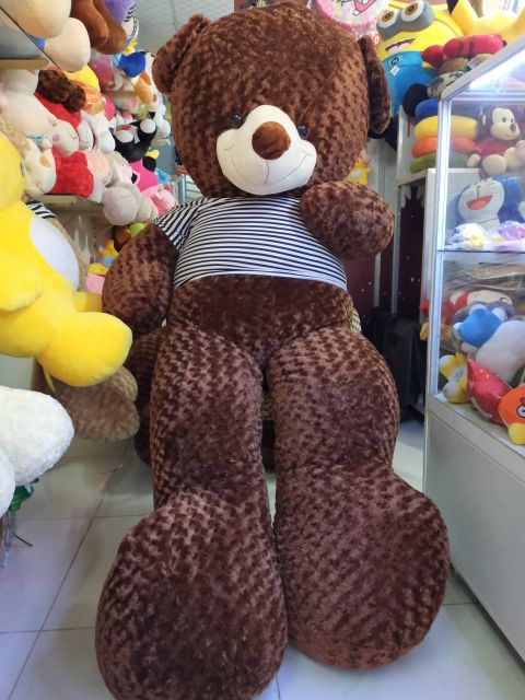 Gấu bông teddy khổ vải 2M cao 1m8