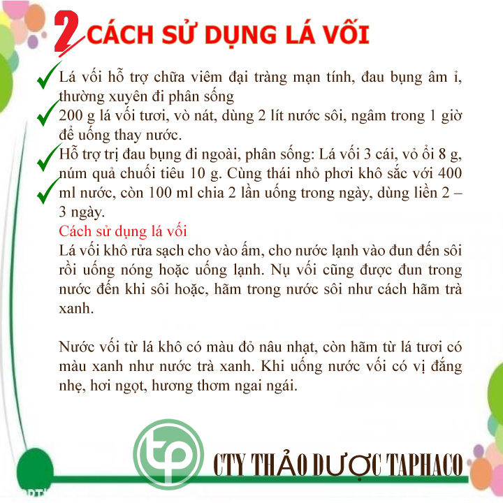 [Hàng loại 1 chất lượng cao] Lá Vối Sấy Khô 500g - Hàng sạch cao cấp