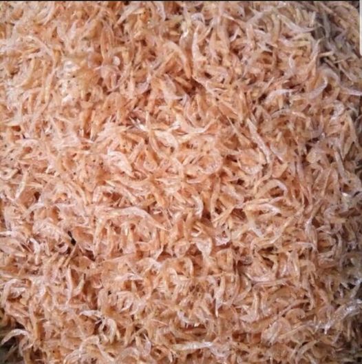 Sea snail-dried sea cloves-dried sea snap-large non-seawater delicious penis package weight 200gr