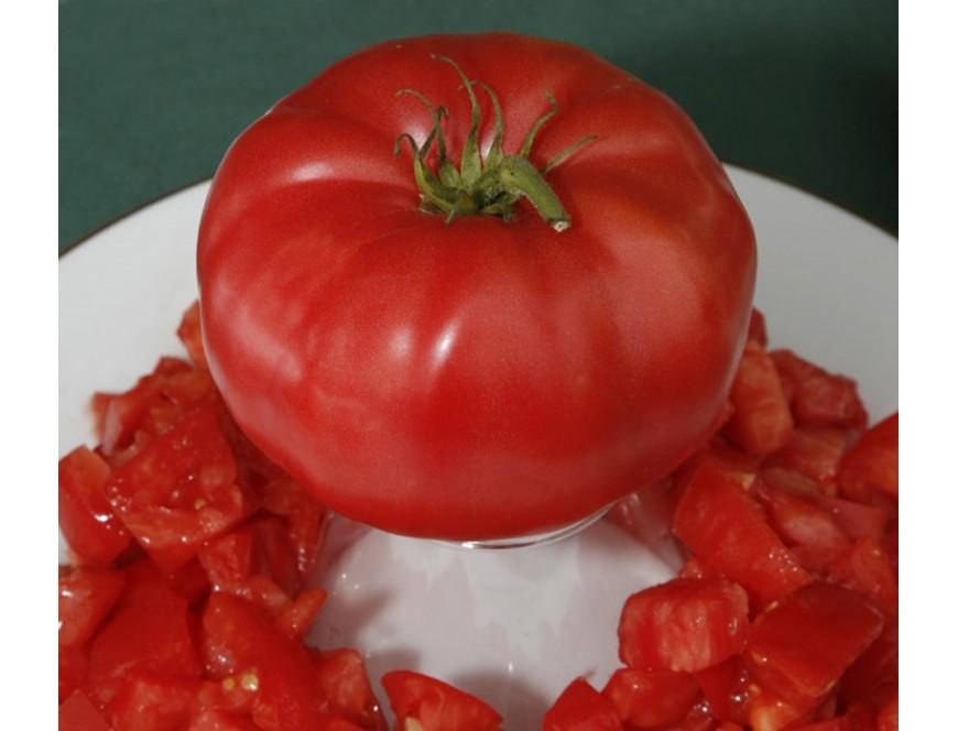 Hạt giống cà chua leo giàn ( cà chua bạch tuộc ) 10 hạt/gói - (TẶNG gói kích thích hạt nảy mầm)