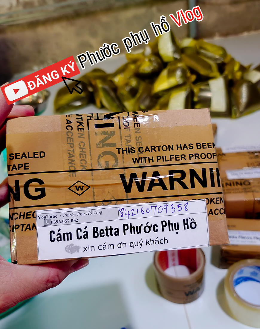 Cám cá betta phước phụ hồ