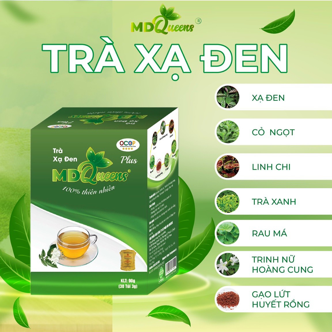 Trà Xạ Đen MD Queens - Thanh nhiệt,thải độc cơ thể, giải rượu