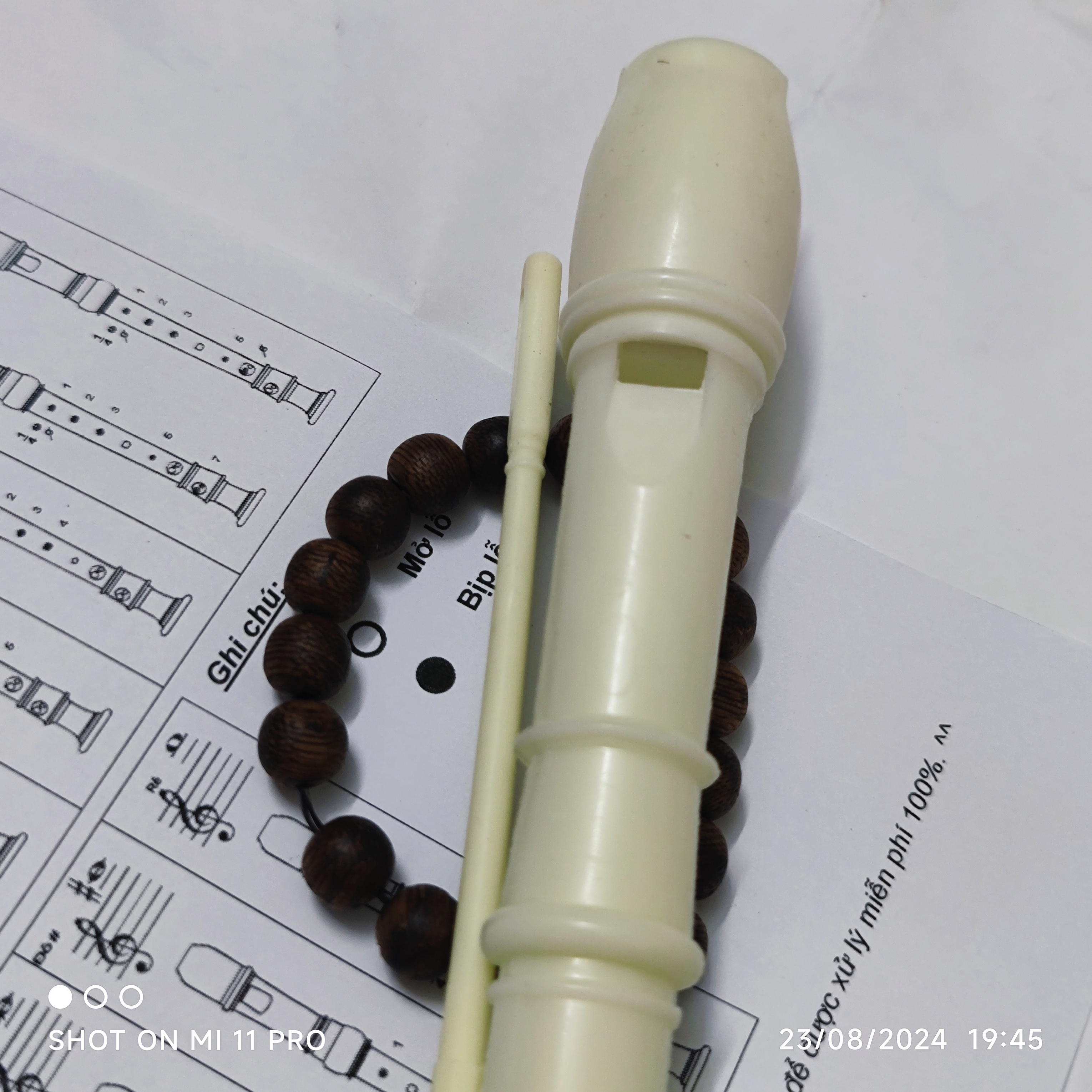 sáo recoder 8 lỗ học sinh - hay dùng. german