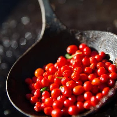 Hạt Giống Ớt Tiêu Siêu Cay Chiltepin