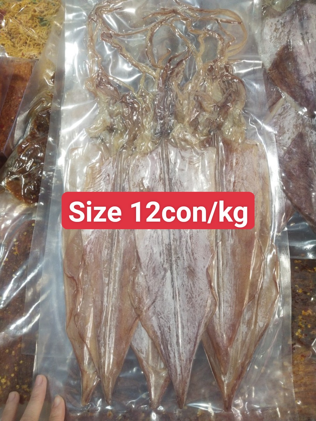 Mực khô câu 12-14con/kg [hàng loại 1 ngon ngọt] GHPY H006