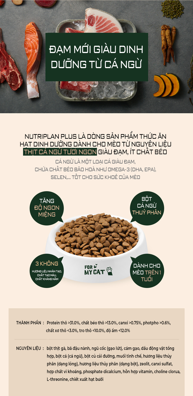 Thức ăn hạt cho mèo mọi lứa tuổi Nutri Plan All Stage