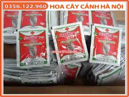 Combo 5 gói chế phẩm starner 20wp nhật bản gói 10g