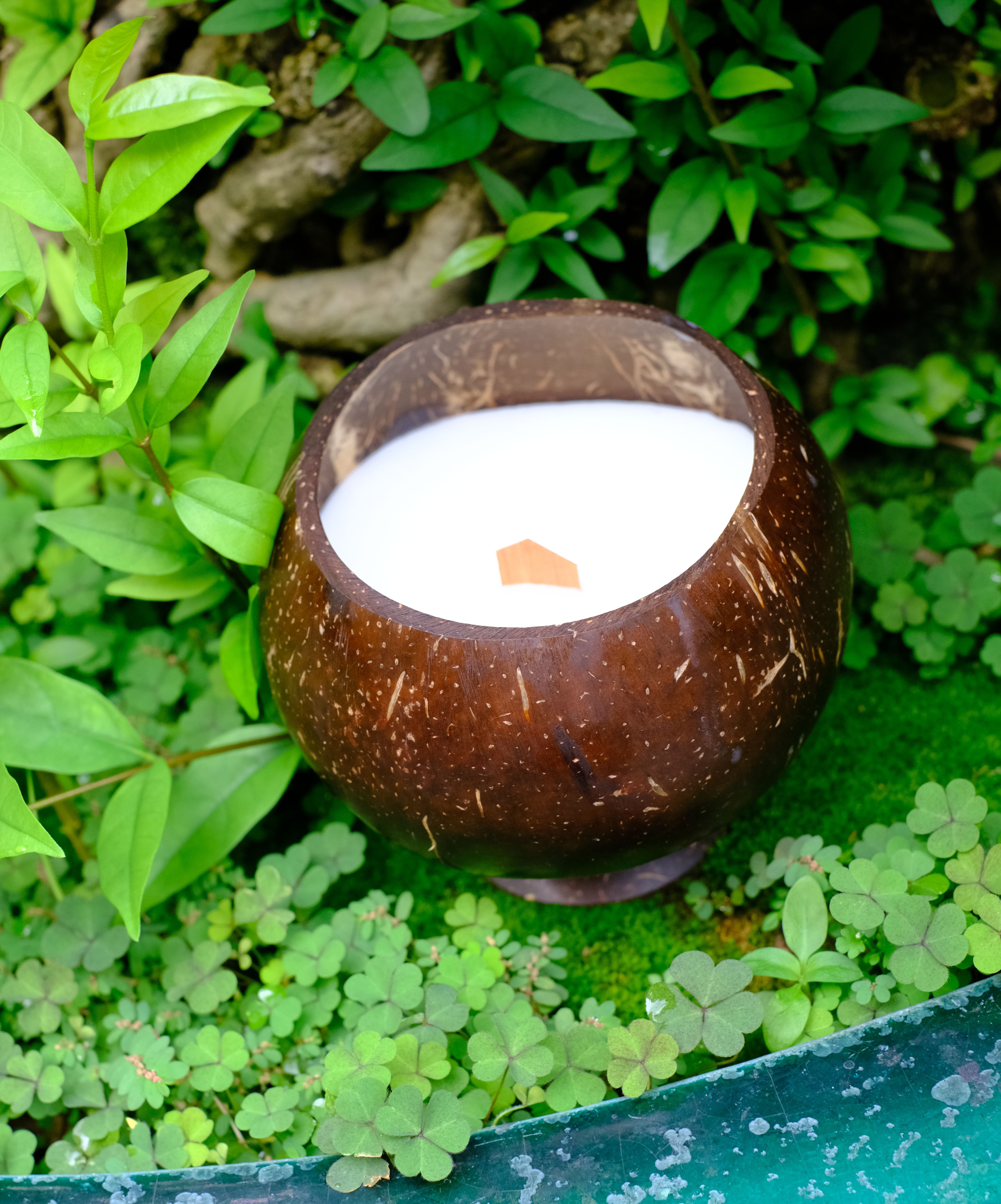 Nến thơm tinh dầu gáo dừa