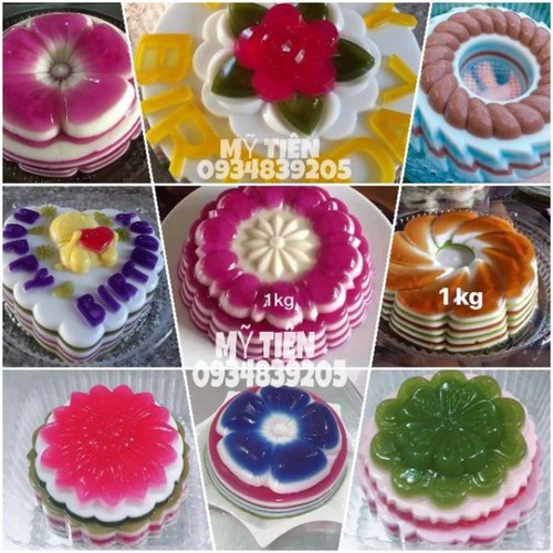 [HCM]combo 10 khuôn rau câu nhận xôi đủ mẫu nhựa cao cấp VĨNH TRƯỜNG