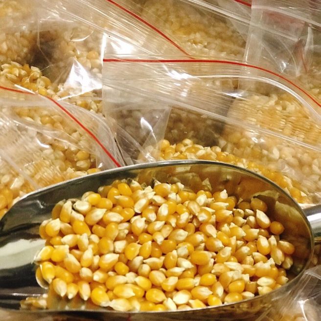 sỉ toàn quốc 500g ngô nổ bỏng