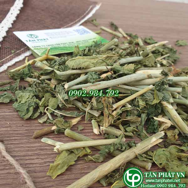 Cây bìm bịp ( xương khỉ ) sấy khô Tấn Phát 1kg