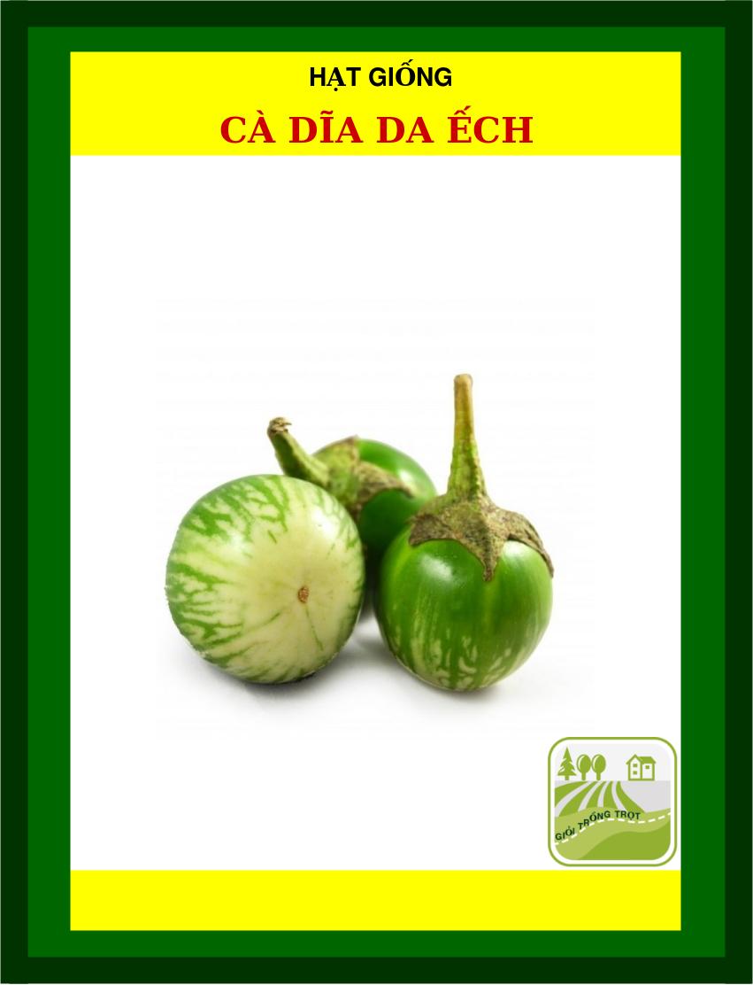 Hạt Giống Cà Dĩa Da Ếch - 1Gram