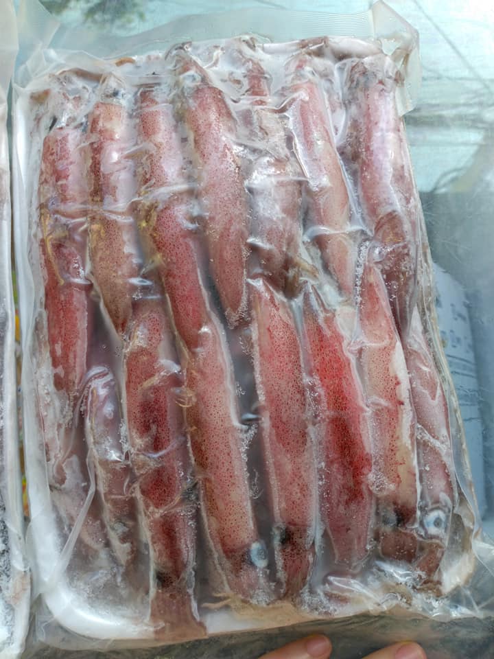 [CHỈ GIAO HÀ NỘI]  1KG Mực trứng