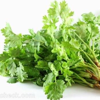 (20gr)Hạt Giống Ngò Rí Rau Mùi