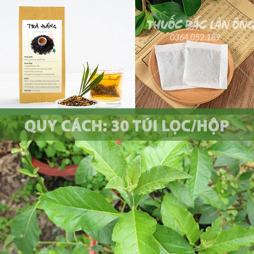 Trà đắng túi lọc, bịch 30 tép x 3g, đậm vị trà thảo mộc, tốt cho sức khoẻ - Lãn Ông