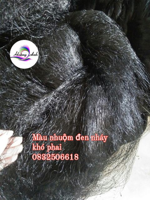 LƯỚI BẪY CHIM ĐÊM 7P CAO 5M