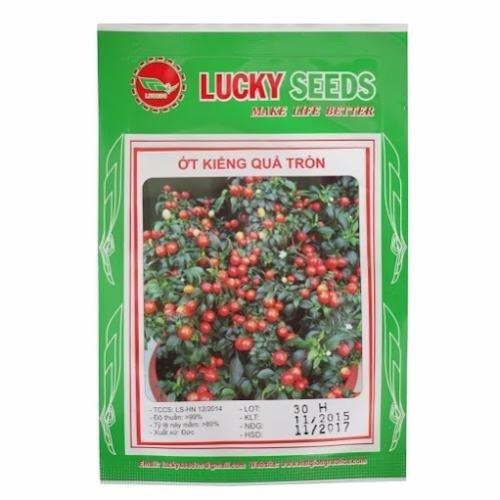 Hạt giống ớt kiểng quả tròn đỏ LUCKY SEEDS