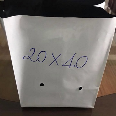 Túi PE trồng cây 2kg